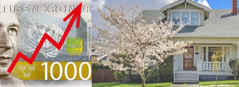 En röd pil uppåt visas över en 1000-kronorssedel, bredvid ett hus med blommande träd - en antydan om att installation av kamin höjer värdet på huset i takt med stigande bostadspriser.