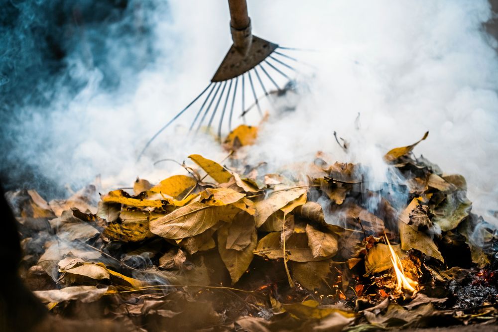 En trädgårdskratta samlar ihop torra löv medan rök och små lågor stiger upp från högen, vilket tyder på att löven brinner. Scenen är disig, vilket tyder på aktiv lövförbränning utomhus.