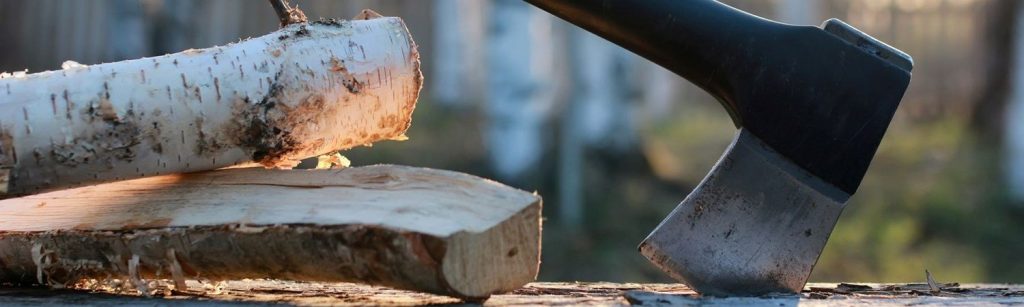 En närbild av en yxa som är inbäddad i en stock bredvid kluvna bitar av björkträ, med en mjuk, naturlig utomhusbakgrund suddig bakom.
